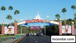 Disney World guest's angry rant about 'childless' millennials goes viral: 'You made my son cry!'